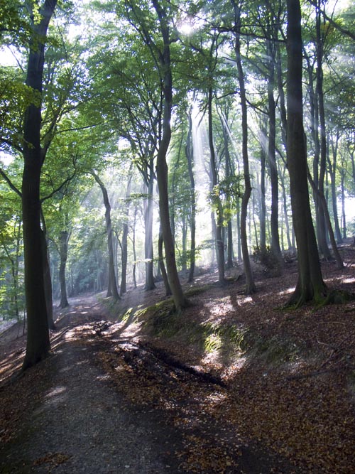 Digital photography tuition in Maidenhead, Thames valley, Brecon and Buxton